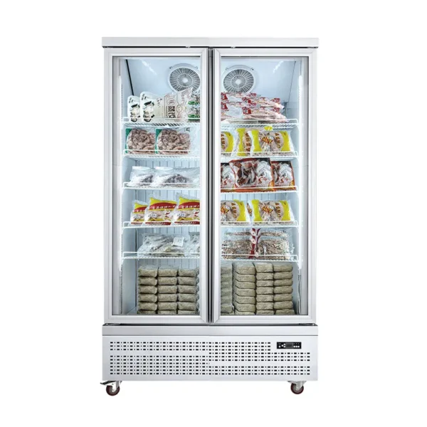 Glass Door Freezer (Bottom Mount Compressor)（1 Door） - Image 2