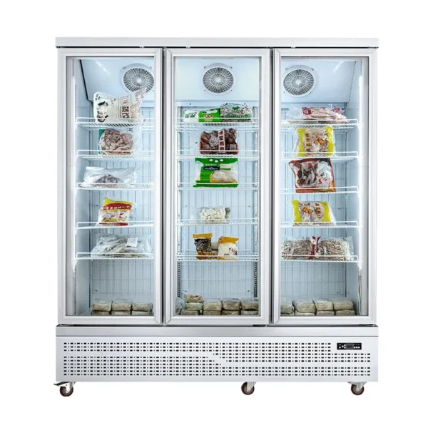 Glass Door Freezer (Bottom Mount Compressor)（1 Door） - Image 3